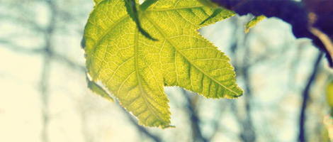 安全可靠放心的网站流量攻击