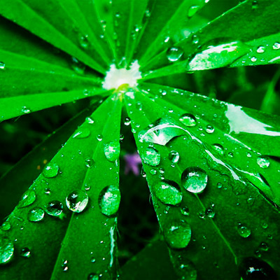 手机攻击器APP下载